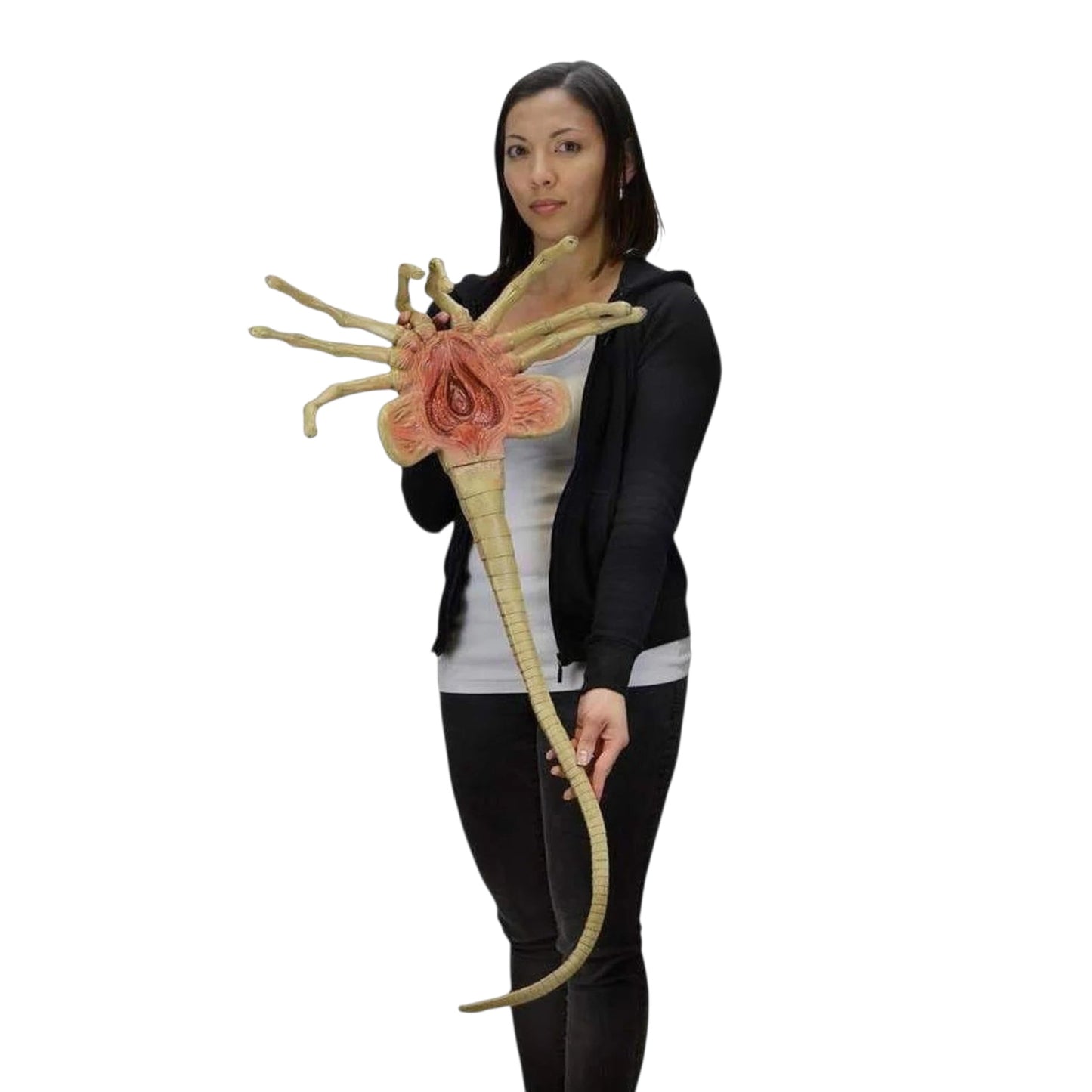 NECA - Alien Prop Replica Life Size Facehugger