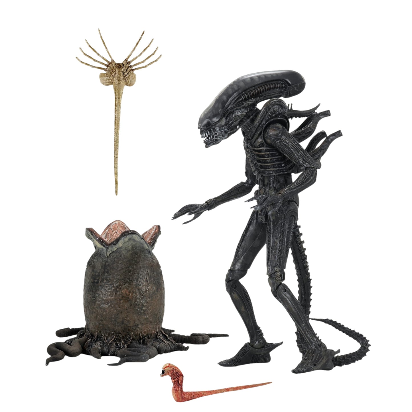 NECA - Alien 40th Anniversary : Big Chap 7”