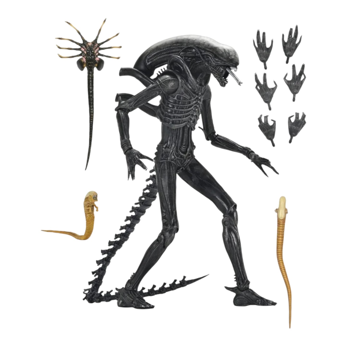 NECA - Alien Romulus Xenomorph XX121