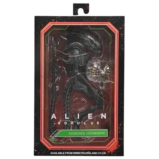 NECA - Alien Romulus , Scorched Xenomorph Ultimate 7” Scale Action Figure
