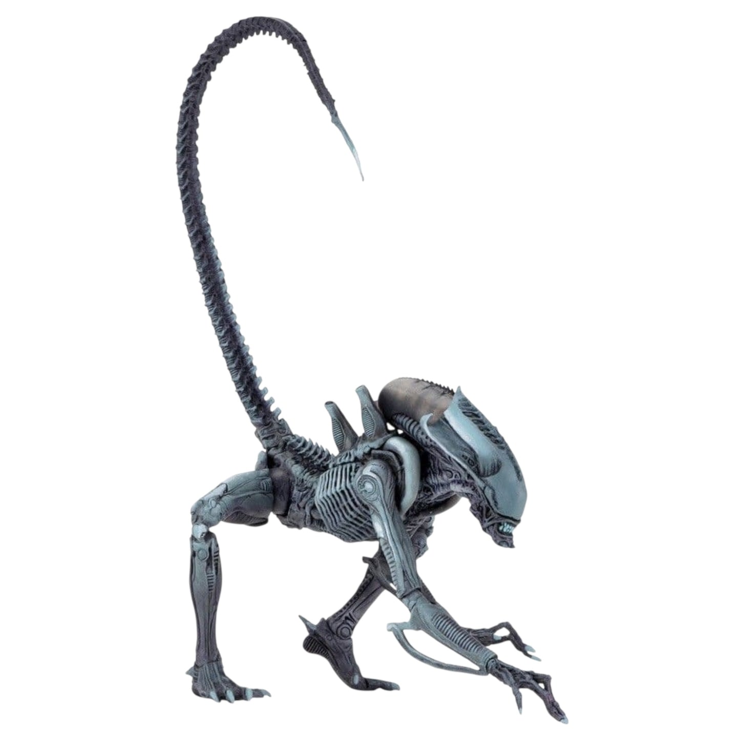 NECA - Aliens : Arachnoid