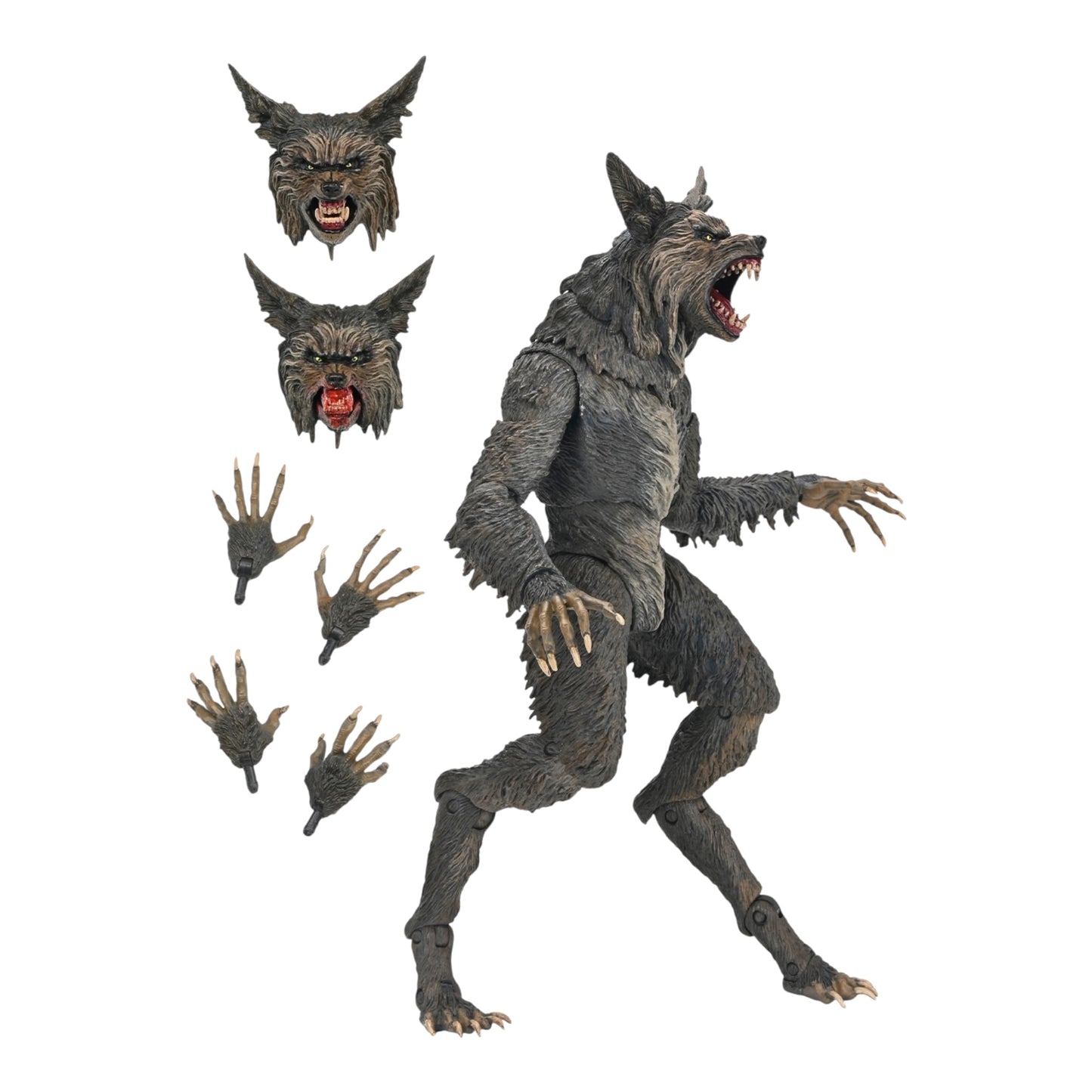 NECA - The Howling : Werewolf