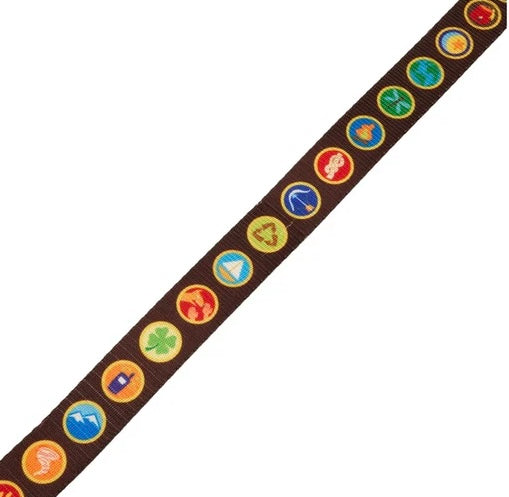 Loungefly Pixar Up 15th Anniversary Wilderness Badges Leash