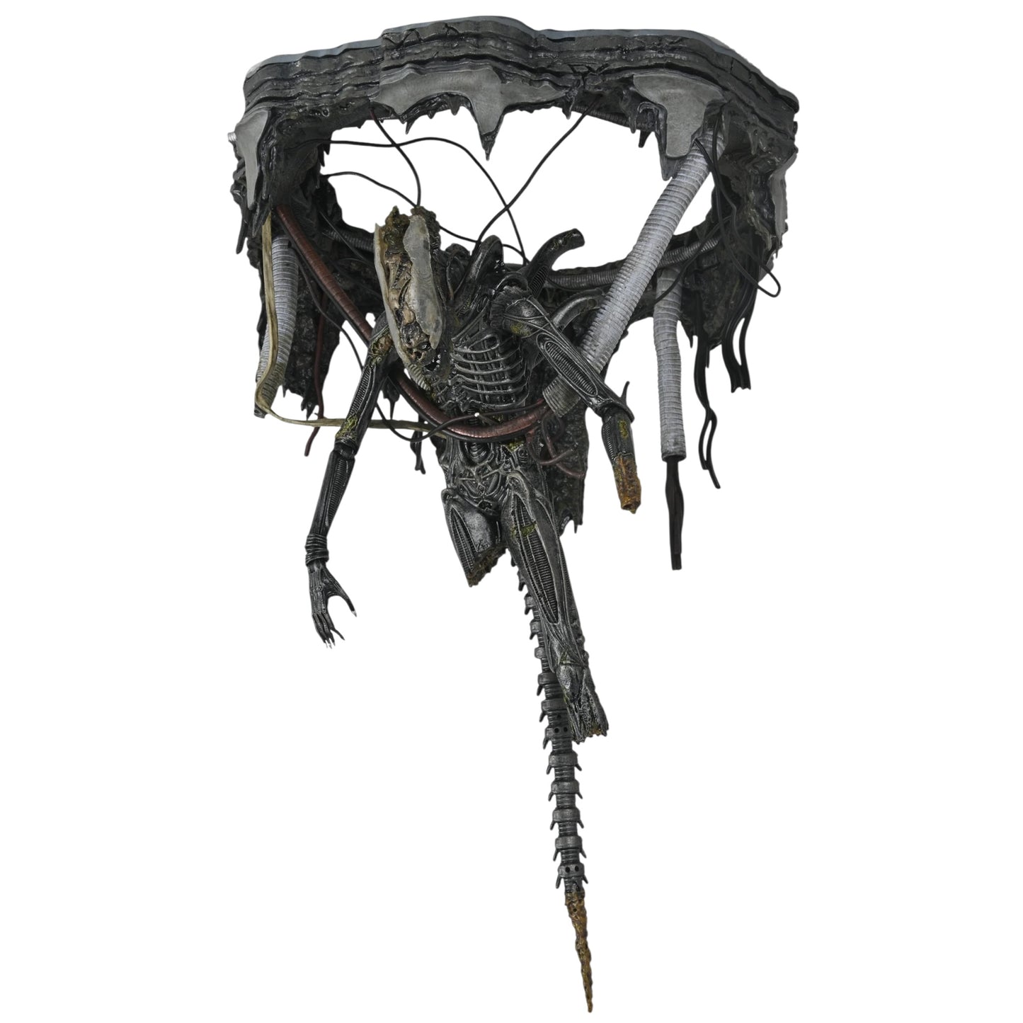 NECA - Alien Romulus , Suspended Lab Xenomorph Deluxe 7" Scale Action Figure