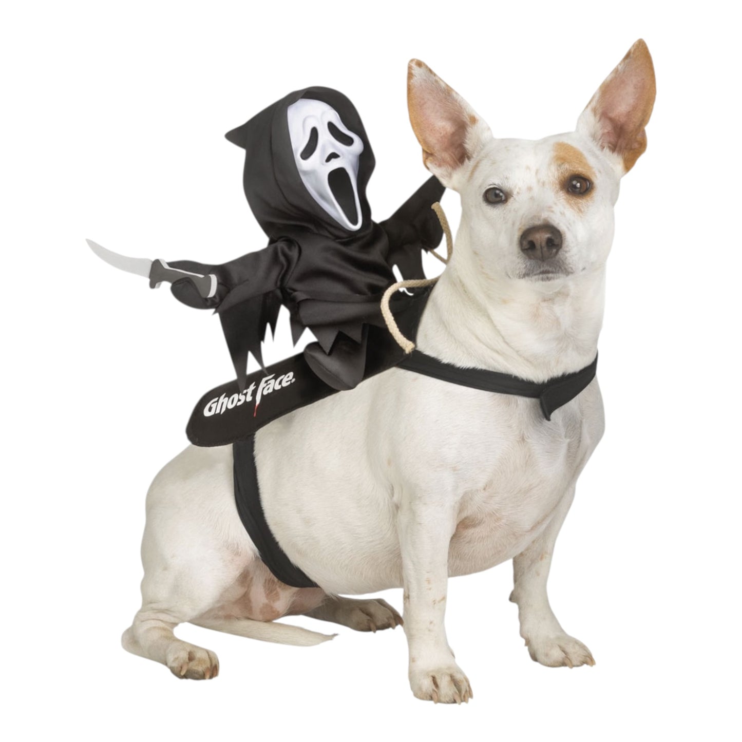 Ghost Face Rider - dog harness