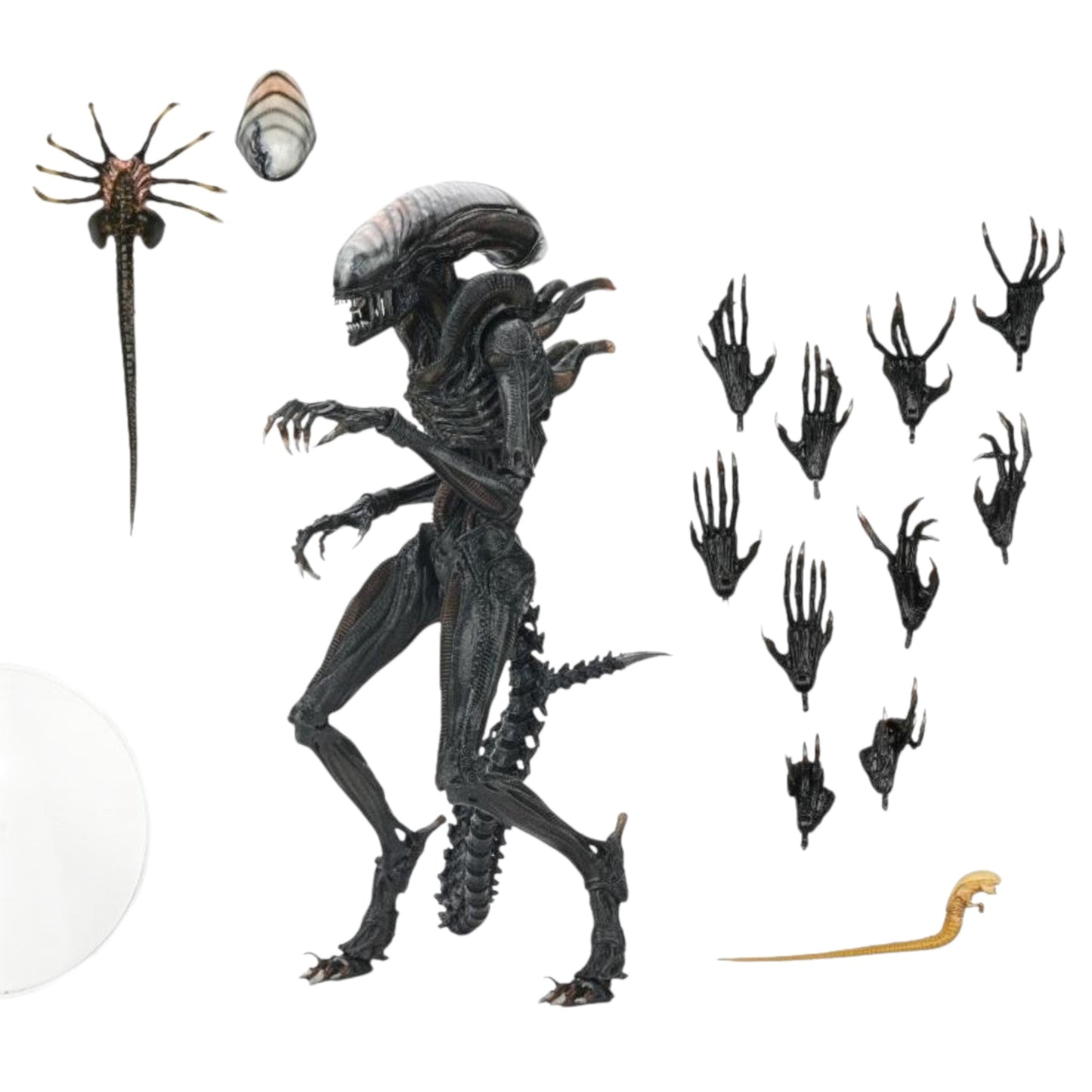 NECA - Alien Romulus , Scorched Xenomorph Ultimate 7” Scale Action Figure