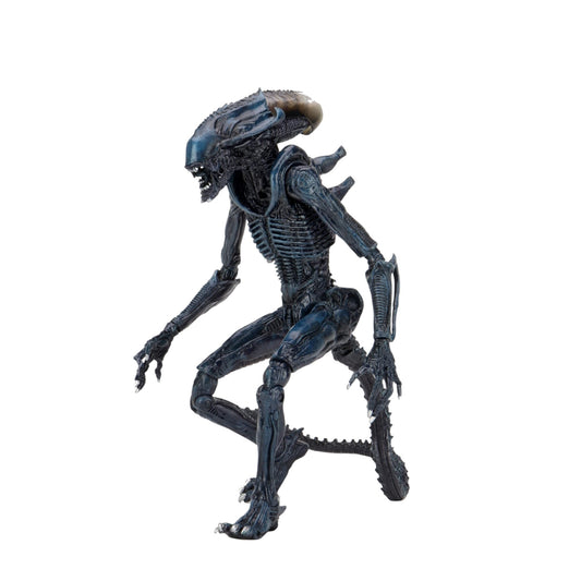NECA - Aliens : Arachnoid