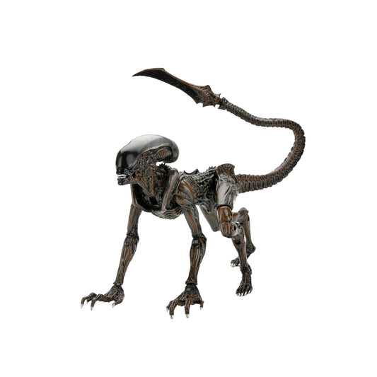 NECA - Aliens : fireteam elite Runner Alien